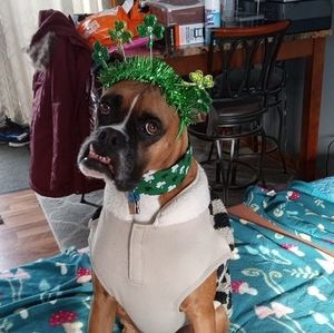 Meet your Posher, Christina